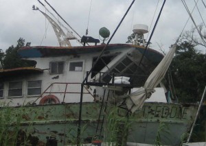 Southern Louisiana, July 2010 II